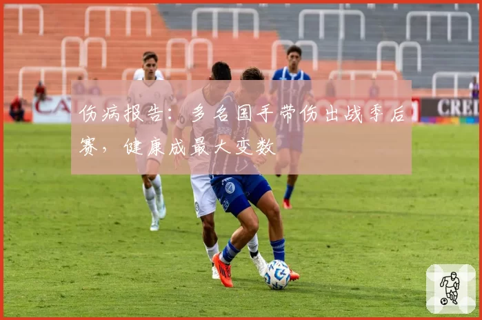 伤病报告：多名国手带伤出战季后赛，健康成最大变数