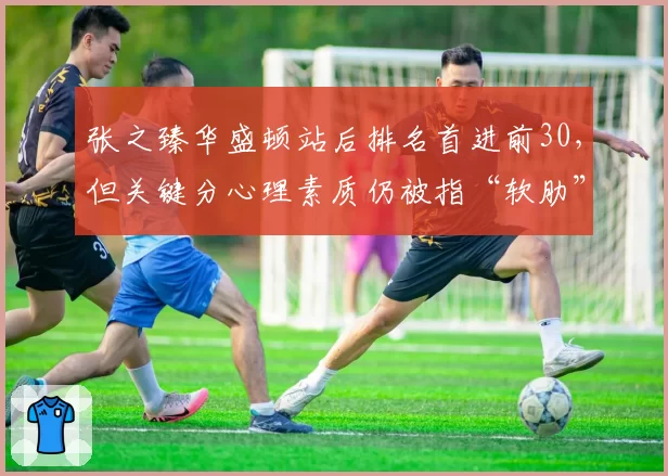 张之臻华盛顿站后排名首进前30，但关键分心理素质仍被指“软肋”
