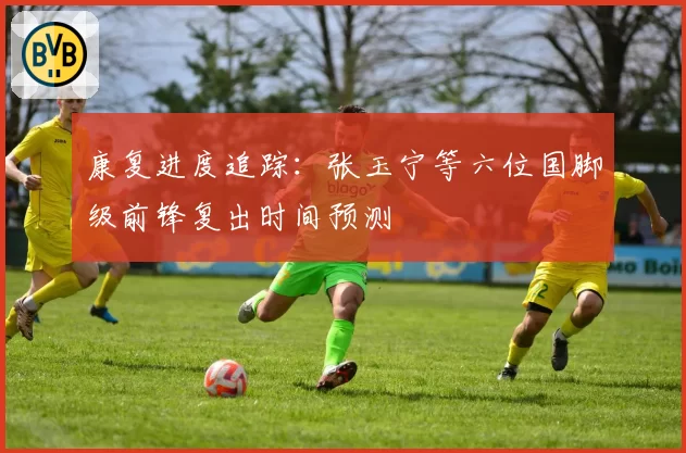 康复进度追踪：张玉宁等六位国脚级前锋复出时间预测