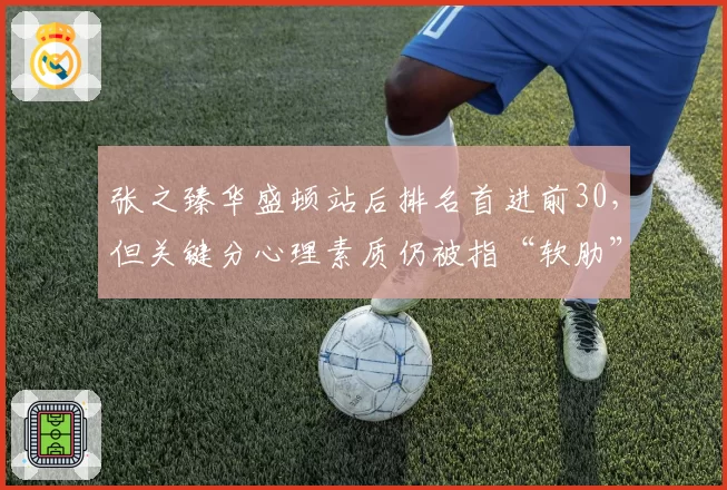 张之臻华盛顿站后排名首进前30,但关键分心理素质仍被指“软肋”