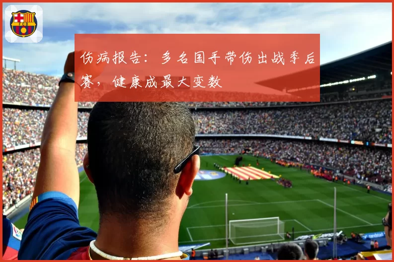 伤病报告：多名国手带伤出战季后赛，健康成最大变数